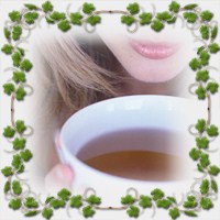 Девясил | Магический чай из девясила Питание